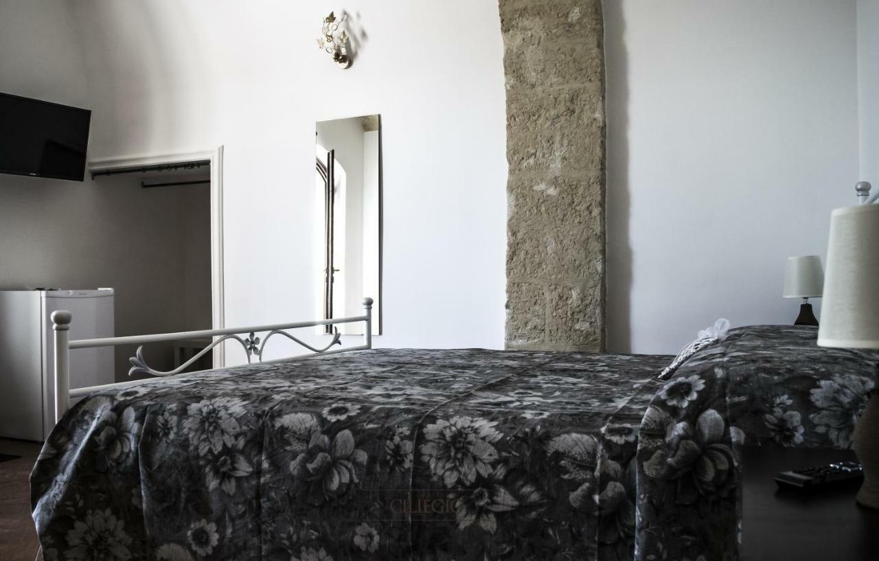Tenuta Vigna Del Noce Corato Eksteriør bilde